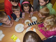 Pozorujeme jak klíčí a rostou semínka